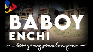 Baboy by Enchi  MusicLyric Video  Bisrock  HD [upl. by Annamaria]