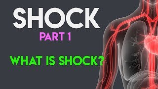 What Is Shock  Shock Pathophysiology  Shock Part 1 [upl. by Lorie468]