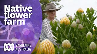 Growing native flowers on a large scale  Native Australian Plants  Gardening Australia [upl. by Valoniah801]