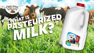 What is Pasteurized milk  Ask Organic Valley [upl. by Elauqsap]