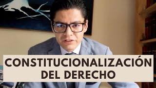 La constitucionalización del derecho [upl. by Norraj648]