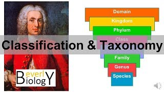 Classification and Taxonomy [upl. by Nyral930]