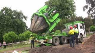 Tree Transplanting with ArborCo Melbournem4v [upl. by Tterrab]