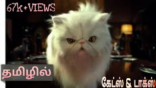 Cats and dogsTAMIL DUBBED funny [upl. by Biddy]