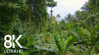 Incredible Jungle Sounds 8K  Exotic Birds Singing in Tropical Rainforest 8 HOURS  Part 1 [upl. by Eiramasil]