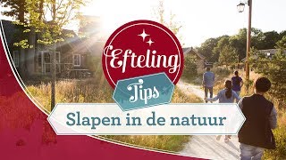 8 redenen om te overnachten in Vakantiepark Efteling Loonsche Land  Efteling Tips 4 [upl. by Ahseihs]