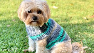 Crochet a dog sweater  Small  30cm long  Full tutorial [upl. by Fritzie618]