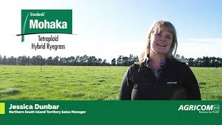 Mohaka Tetraploid Hybrid Ryegrass  Agricom Spring 2020 [upl. by Lucilla503]