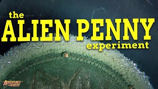 The Alien Penny Experiment [upl. by Nettirb]