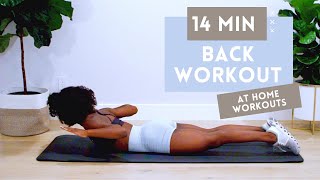 14 MINUTE BACK WORKOUT FOR STRONGER BACK  BETTER POSTURE  NO EQUIPMENT  BEGINNER  INTERMEDIATE [upl. by Marijane944]