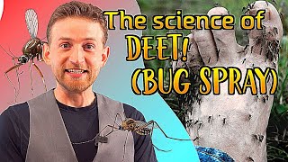 How does DEET work The science behind mosquito repellent [upl. by Oskar]