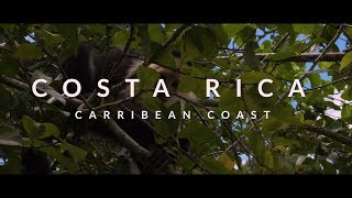 Costa Rica  Caribbean Coast Puerto Viejo Cahuita and more [upl. by Samot273]