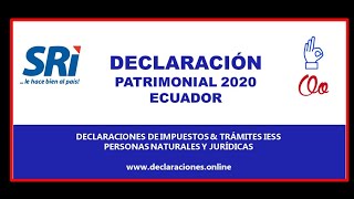 ¿Cómo hacer la Declaración Patrimonial 2020 en Ecuador [upl. by Tierza]