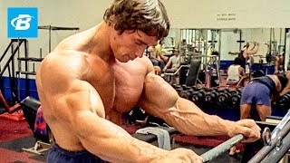 How To Train For Mass  Arnold Schwarzeneggers Blueprint Training Program [upl. by Erodaeht]