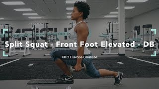 Split Squat  Front Foot Elevated  DB  KILO Exercise Database [upl. by Shushan]