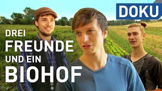 Drei Freunde und ein Biohof  erlebnis Hessen  Doku [upl. by Levins]