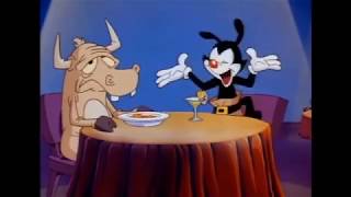 Animaniacs Cartoon Intros [upl. by Cornwell]