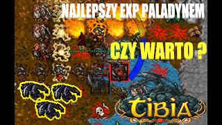 NAJLEPSZY EXP PALADYNEM  WEREBADGERS GRIMVALE 50  TIBIA PL [upl. by Airtened387]