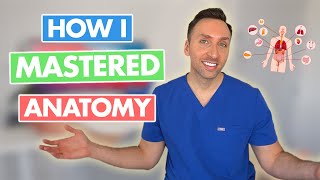 How I Memorized ALL Anatomy [upl. by Ecineg]