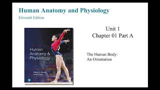 Anatomy and Physiology Chapter 1 The Human Body An Orientation Part A [upl. by Llerreg]