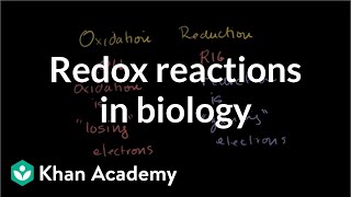 Oxidation and reduction review from biological pointofview  Biomolecules  MCAT  Khan Academy [upl. by Arvie916]