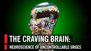 The Craving Brain Neuroscience of Uncontrollable Urges [upl. by Yelehsa]