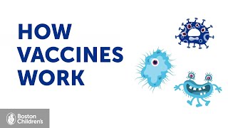 How vaccines work  Boston Childrens Hospital [upl. by Eliason]