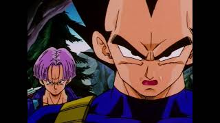 TFS  Trunks and Vegeta [upl. by Halsy]