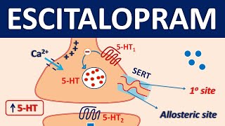 Escitalopram Lexapro  Mechanism precautions side effects amp uses [upl. by Narda]