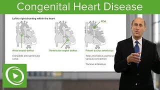 The Difference between Cardiology Specialties  Dr Eric Van De Graaff [upl. by Ferdie517]