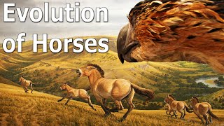 The Truth of Horse Evolution  Part 1 [upl. by Tova]