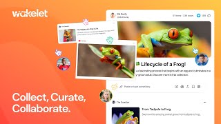 Wakelet Collect Curate Collaborate [upl. by Asin]