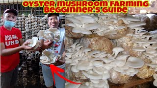 Basic Tips and Common Mistakes in Mushroom Farming  BEGINNERS GUIDE [upl. by Annairt]