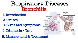 Antibiotic Awareness Chest Cold Bronchitis [upl. by Deste]