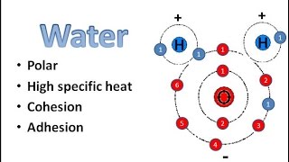 Water Chemistry [upl. by Pammy]