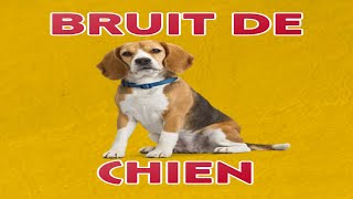 bruit de CHIEN 🐶 Aboiement [upl. by Nesahc310]