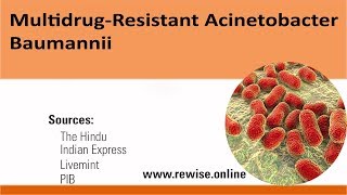 Multidrug  Resistant Acinetobacter Baumannii [upl. by Tito]