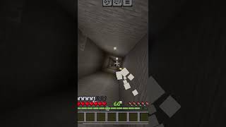 POV powdered snow in Minecraft [upl. by Haidabo468]