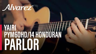 AlvarezYairi Honduran PYM60HD14 Parlor Guitar [upl. by Ariak]