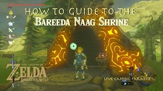 Breath of the Wild  Bareeda Naag Shrine Guide and Location [upl. by Kadner]