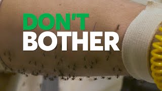 Dont Bother Using These Insect Repellents  Consumer Reports [upl. by Ahl]