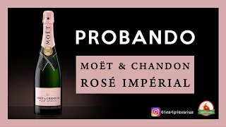 🍾 MOËT amp CHANDON ROSÉ IMPÉRIAL Degustación Champagne [upl. by Fontana]