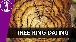 Dendrochronology Tree Ring Dating  Archaeological Dating Techniques [upl. by Chapland]