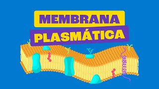 Membrana Plasmática  Toda Matéria [upl. by Bina]