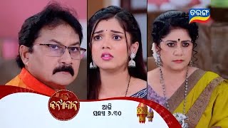 Kanyadana  24th Jan 2025  Episodic Promo 95  Tarang TV  Tarang Plus [upl. by Lytton]