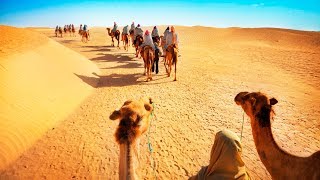 Camel Safari with Dinner and Emirati Activities in Dubai UAE [upl. by Gaither]