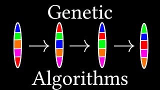 How algorithms evolve Genetic Algorithms [upl. by Ybab]