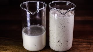 How to Make a SOURDOUGH Starter  Detailed Instructions for Guaranteed Success [upl. by Quinlan801]