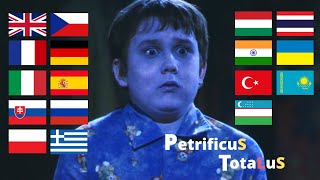 quotPetrificus Totalusquot in Different Languages Hermiones Full BodyBind Curse for the first time [upl. by Seuguh]