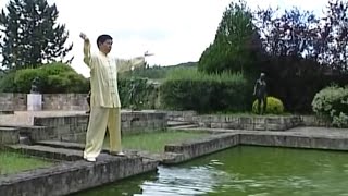 Les 18 exercices du Tai Ji Qi Gong [upl. by Nylirehc385]